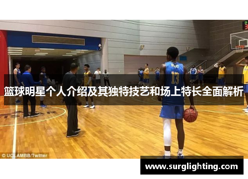 篮球明星个人介绍及其独特技艺和场上特长全面解析