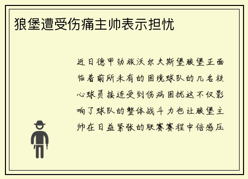 狼堡遭受伤痛主帅表示担忧