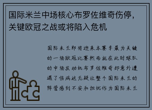国际米兰中场核心布罗佐维奇伤停，关键欧冠之战或将陷入危机