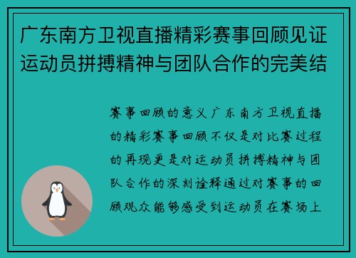 广东南方卫视直播精彩赛事回顾见证运动员拼搏精神与团队合作的完美结合